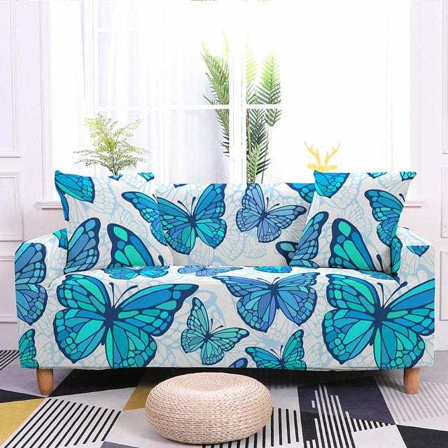 Image du produit 14