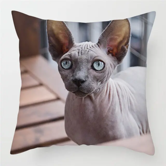 Image du produit 18