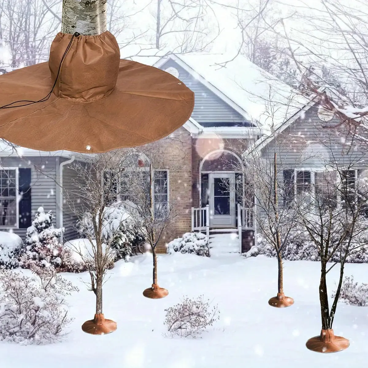 Image du produit 10