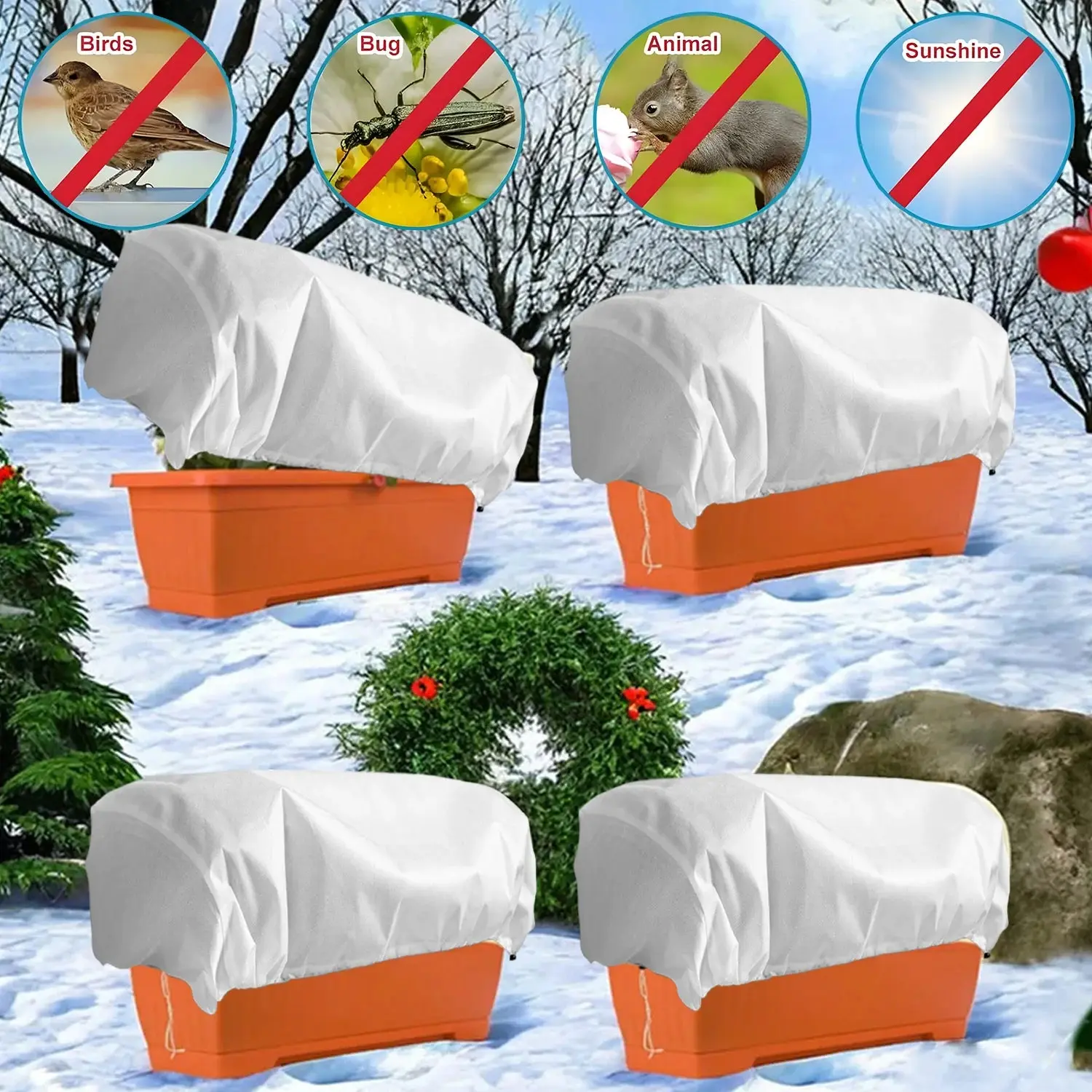 Image du produit 12