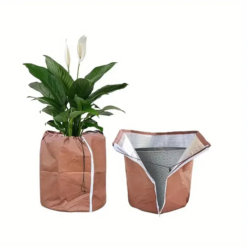 Image du produit 11