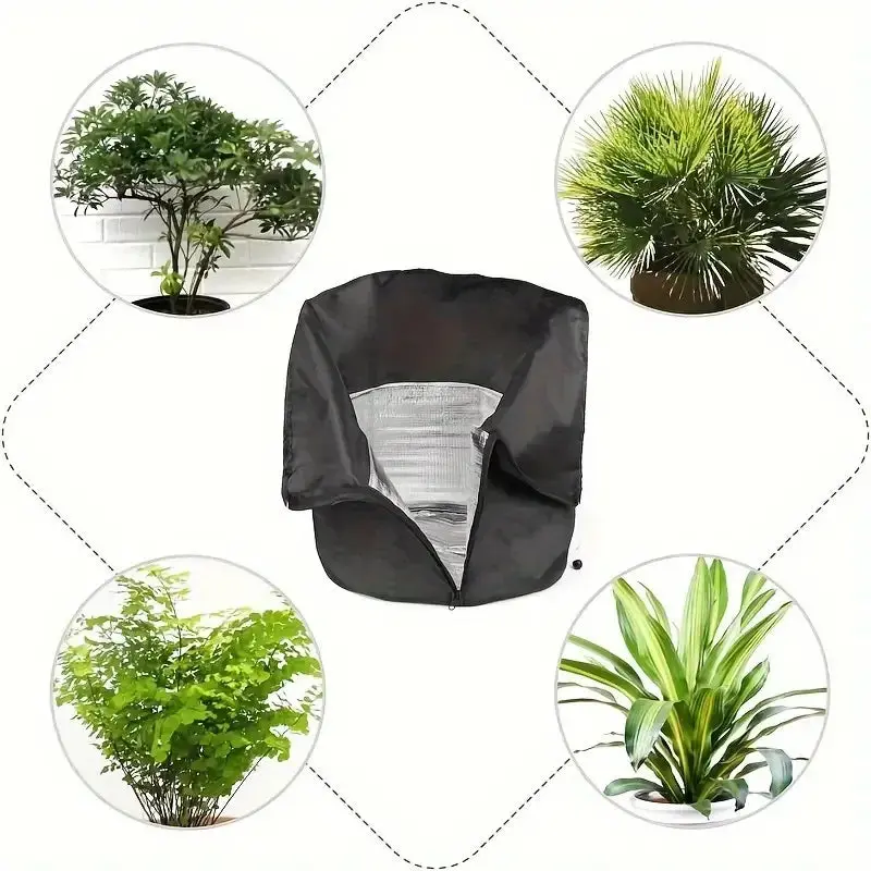 Image du produit 13