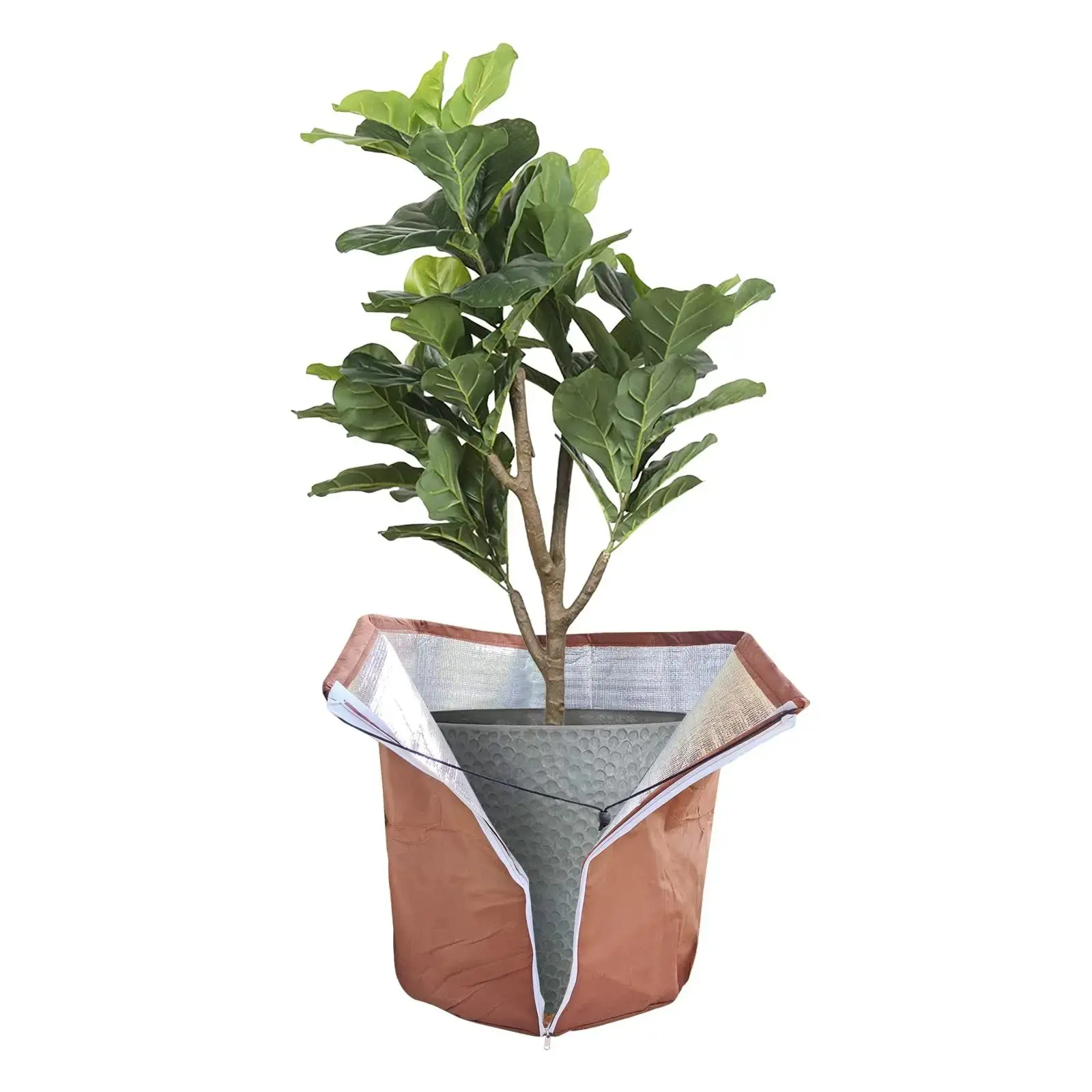 Image du produit 14
