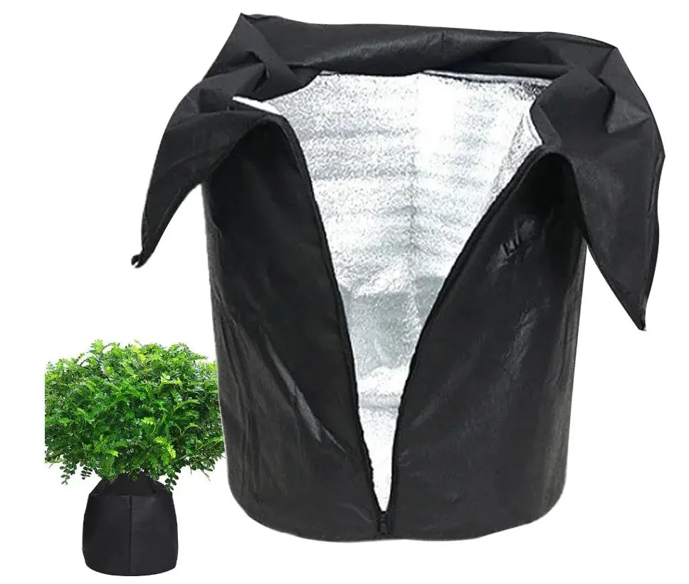 Image du produit 15