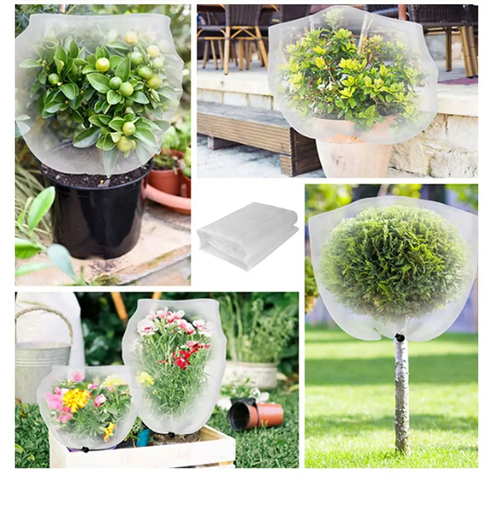 Image du produit 12